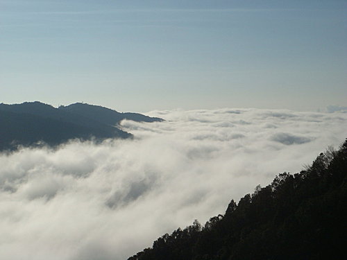 【宜蘭】太平山翠峰湖迎百年曙光 - 第17張圖 【宜蘭】太平山翠峰湖迎百年曙光