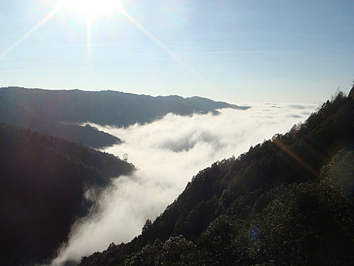 【宜蘭】太平山翠峰湖迎百年曙光 - 第18張圖 【宜蘭】太平山翠峰湖迎百年曙光