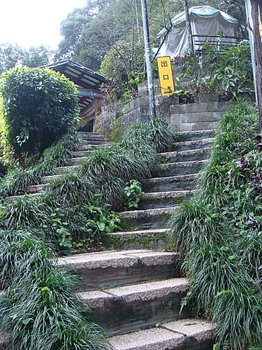 【貓空】邀月茶坊 - 第21張圖 【貓空】邀月茶坊