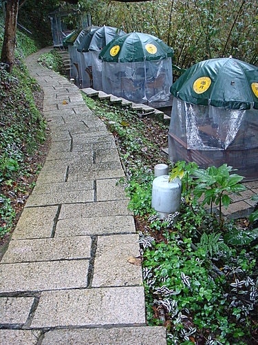 【貓空】邀月茶坊 - 第22張圖 【貓空】邀月茶坊