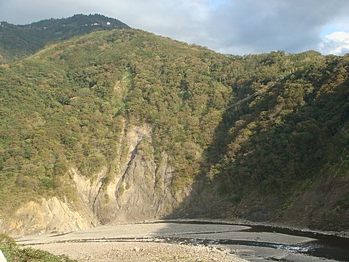 【復興】拉拉山神木 - 第2張圖 【復興】拉拉山神木