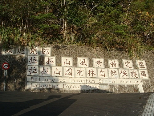 【復興】拉拉山神木 - 第3張圖 【復興】拉拉山神木