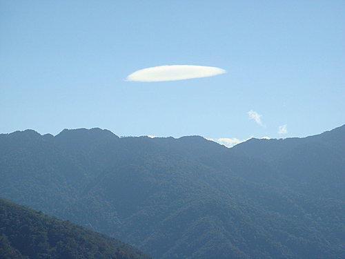 【復興】拉拉山神木 - 第4張圖 【復興】拉拉山神木