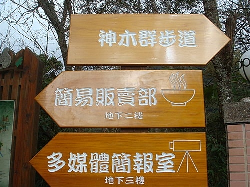 【復興】拉拉山神木 - 第6張圖 【復興】拉拉山神木