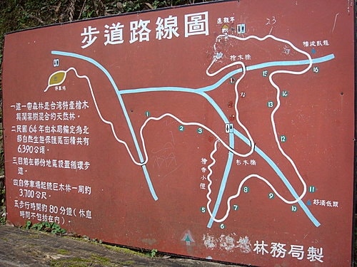 【復興】拉拉山神木 - 第54張圖 【復興】拉拉山神木