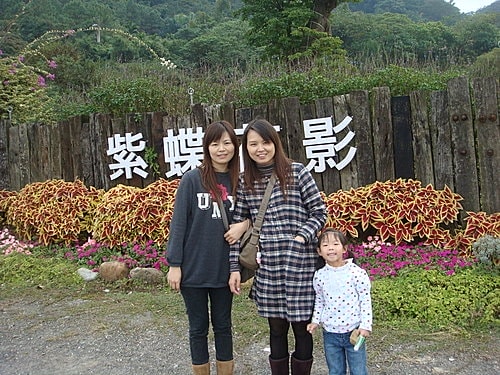 【大溪】紫蝶花影 - 第2張圖 【大溪】紫蝶花影
