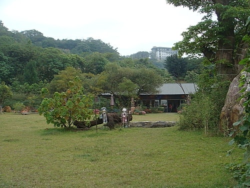 【大溪】紫蝶花影 - 第5張圖 【大溪】紫蝶花影