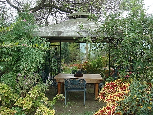 【大溪】紫蝶花影 - 第7張圖 【大溪】紫蝶花影