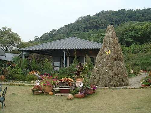 【大溪】紫蝶花影 - 第11張圖 【大溪】紫蝶花影