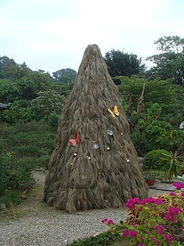 【大溪】紫蝶花影 - 第12張圖 【大溪】紫蝶花影