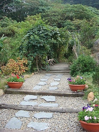 【大溪】紫蝶花影 - 第14張圖 【大溪】紫蝶花影