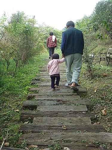 【大溪】紫蝶花影 - 第17張圖 【大溪】紫蝶花影