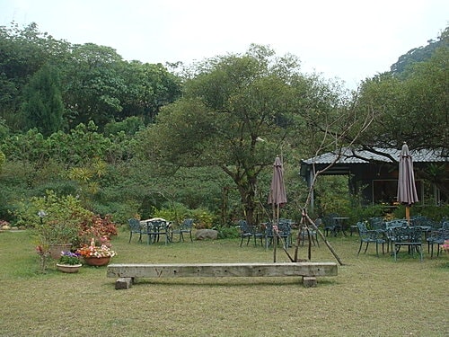 【大溪】紫蝶花影 - 第20張圖 【大溪】紫蝶花影