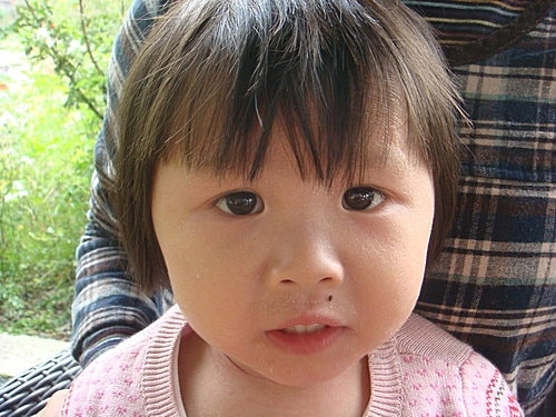 【大溪】紫蝶花影 - 第30張圖 【大溪】紫蝶花影