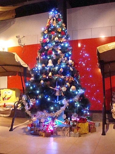 【南崁】海灣星空 - 第16張圖 【南崁】海灣星空