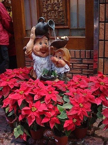 【鹿港】天后宮&鶴山餐廳 - 第16張圖 【鹿港】天后宮&鶴山餐廳