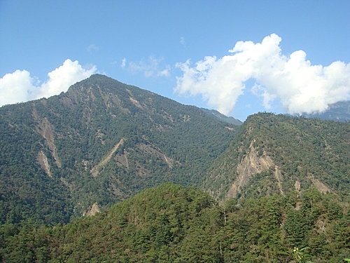 【南投】蕙蓀林場 - 第8張圖 【南投】蕙蓀林場