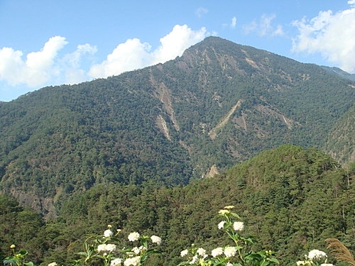 【南投】蕙蓀林場 - 第9張圖 【南投】蕙蓀林場