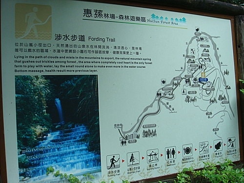 【南投】蕙蓀林場 - 第17張圖 【南投】蕙蓀林場