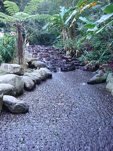 【南投】蕙蓀林場 - 第18張圖 【南投】蕙蓀林場