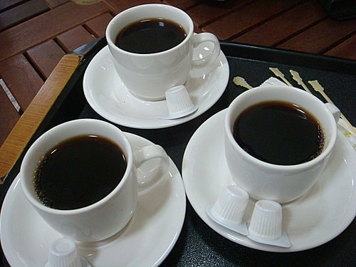 【南投】蕙蓀林場 - 第20張圖 【南投】蕙蓀林場