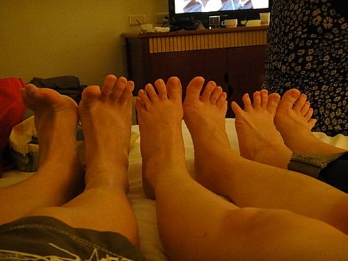 【南投】蕙蓀林場 - 第42張圖 【南投】蕙蓀林場