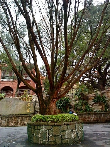 【淡水】真理大學&紅毛城 - 第6張圖 【淡水】真理大學&紅毛城