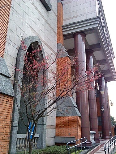 【淡水】真理大學&紅毛城 - 第17張圖 【淡水】真理大學&紅毛城