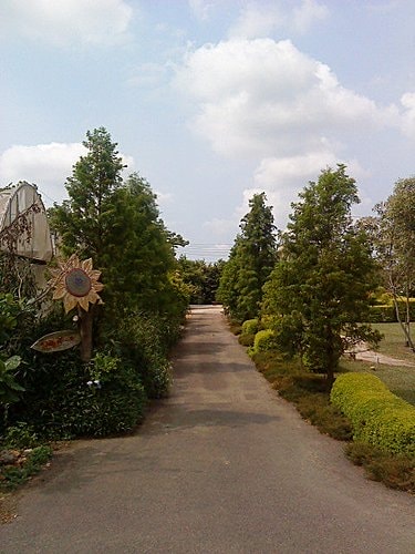 【中壢】田中香花園農莊 - 第4張圖 【中壢】田中香花園農莊