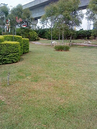 【中壢】田中香花園農莊 - 第7張圖 【中壢】田中香花園農莊