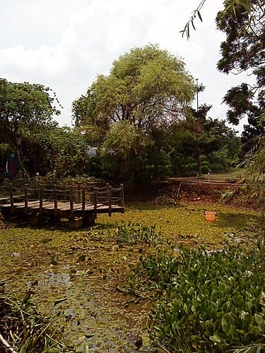 【中壢】田中香花園農莊 - 第31張圖 【中壢】田中香花園農莊