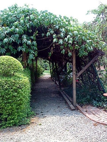 【中壢】田中香花園農莊 - 第34張圖 【中壢】田中香花園農莊