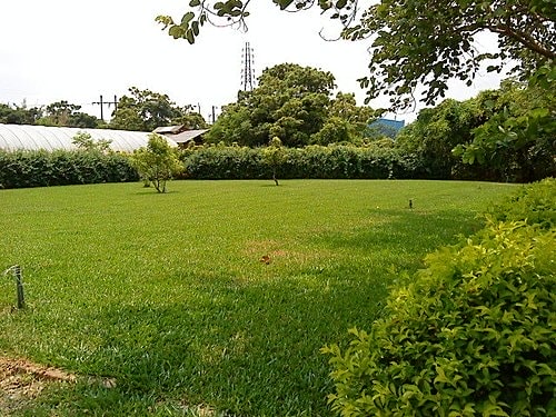【中壢】田中香花園農莊 - 第40張圖 【中壢】田中香花園農莊