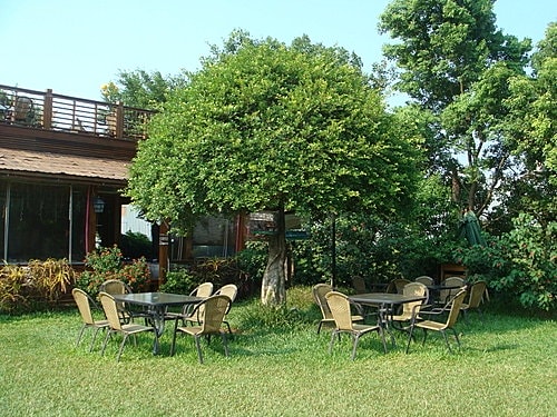 【中壢】綠野庭園餐廳 - 第2張圖 【中壢】綠野庭園餐廳