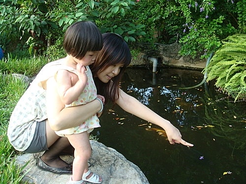 【中壢】綠野庭園餐廳 - 第27張圖 【中壢】綠野庭園餐廳