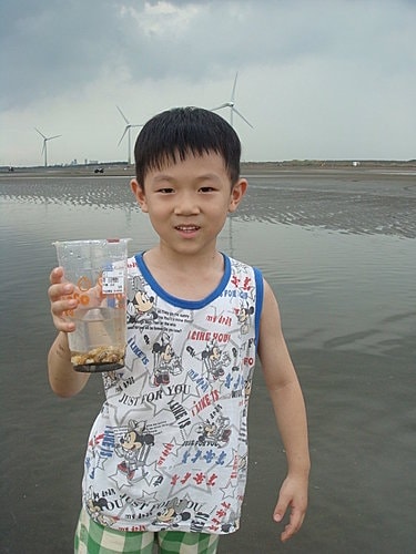 【觀音】海邊遊記 - 第8張圖 【觀音】海邊遊記