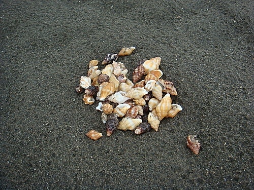 【觀音】海邊遊記 - 第10張圖 【觀音】海邊遊記