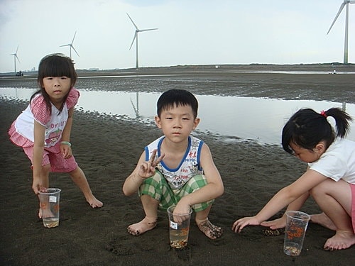 【觀音】海邊遊記 - 第13張圖 【觀音】海邊遊記