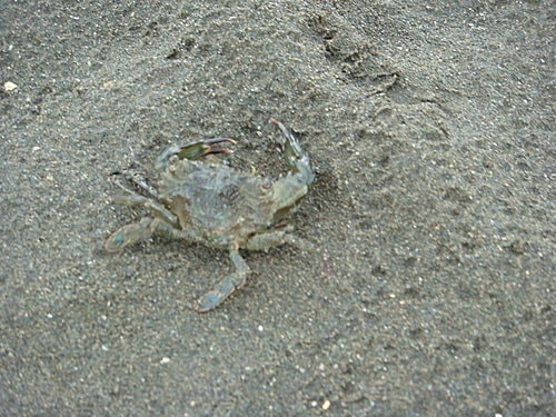 【觀音】海邊遊記 - 第40張圖 【觀音】海邊遊記