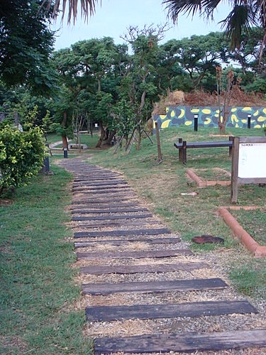 【觀音】海邊遊記 - 第49張圖 【觀音】海邊遊記