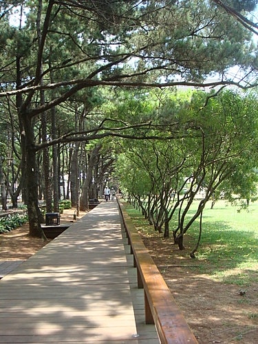 【中壢】中央大學遊記 - 第3張圖 【中壢】中央大學遊記