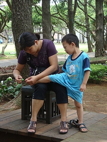 【中壢】中央大學遊記 - 第17張圖 【中壢】中央大學遊記