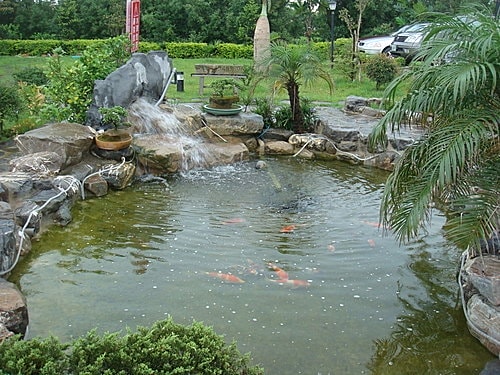 【新屋】尚品雅宴農莊 - 第7張圖 【新屋】尚品雅宴農莊