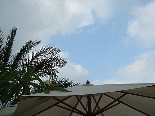 【中壢】甜．客廳