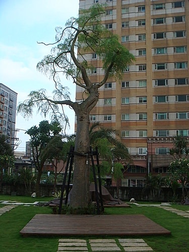 【中壢】甜．客廳