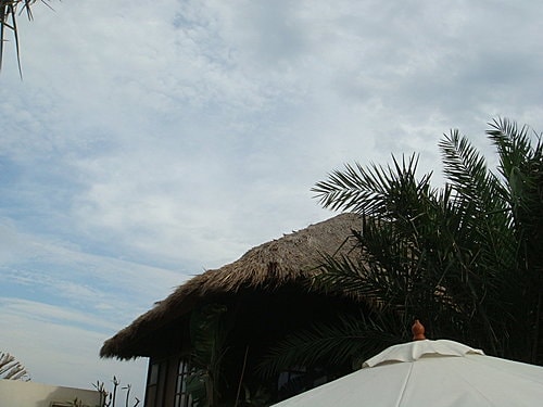 【新屋】莫內咖啡 - 第47張圖 【新屋】莫內咖啡