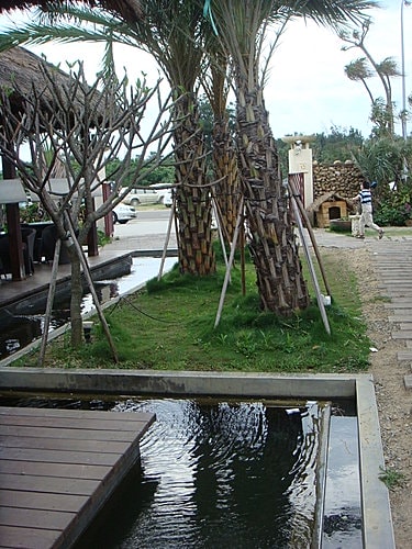 【新屋】莫內咖啡 - 第50張圖 【新屋】莫內咖啡