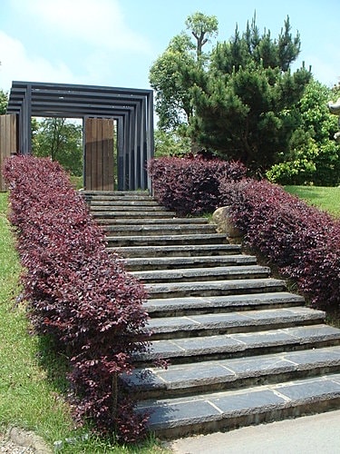 【龍潭】6028咖啡館 - 第8張圖 【龍潭】6028咖啡館