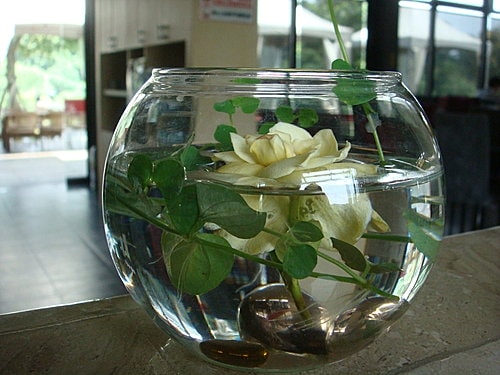 【龍潭】6028咖啡館 - 第17張圖 【龍潭】6028咖啡館