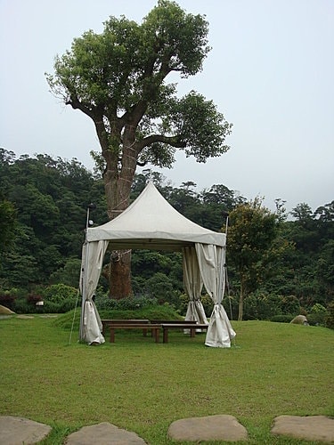 【龍潭】6028咖啡館 - 第40張圖 【龍潭】6028咖啡館